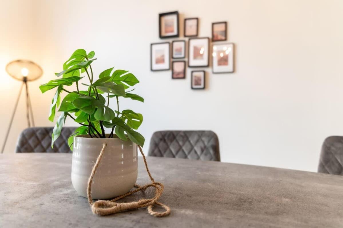 Beautiful Renovated Apartment In An Authentic Building 오스텐드 외부 사진